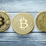 Shiba Inu Coin Price Prediction: What to Expect in 2025